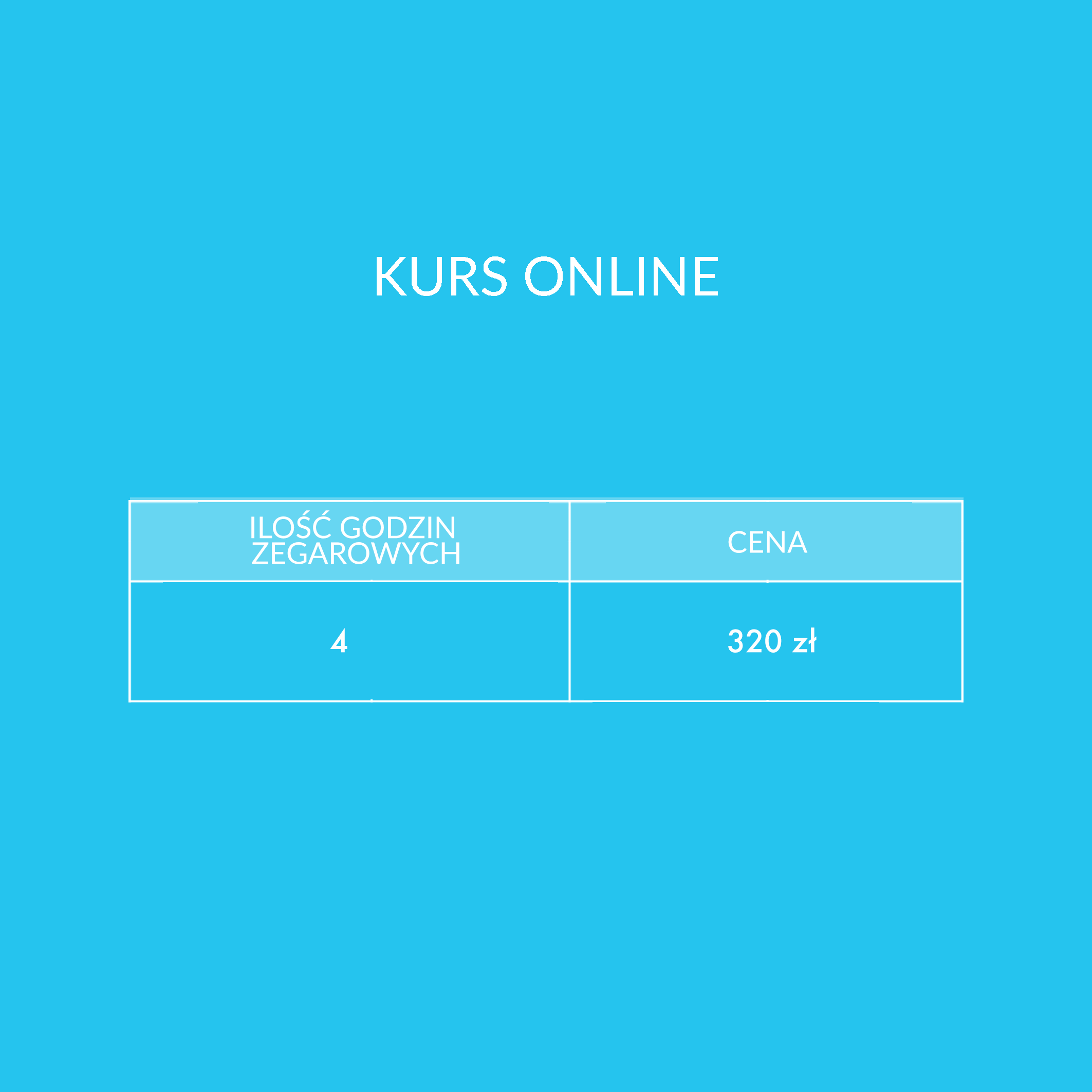 KURSONLINESKYPE copy2